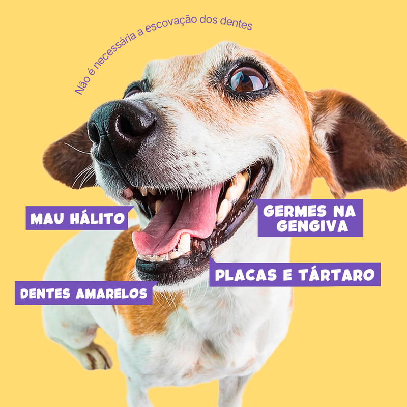 Lenços de limpeza odontológico para pets - Desenvolvido para pets que odeiam escovas